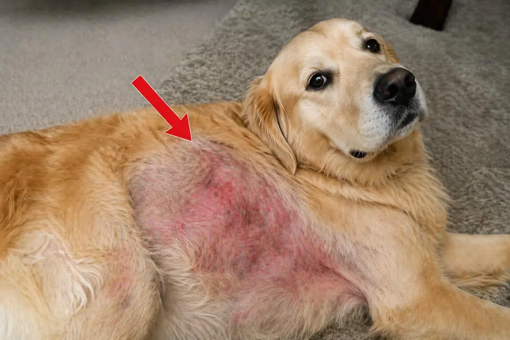 Skin barrier illustration